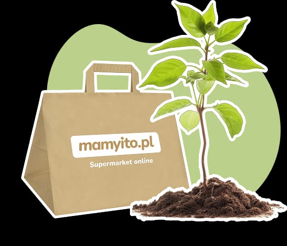 Ekologiczne papierowe torby