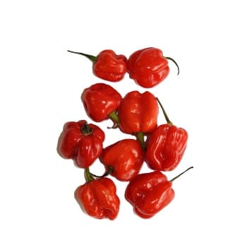 ZIELENIAK Papryka Habanero czerwona 300g