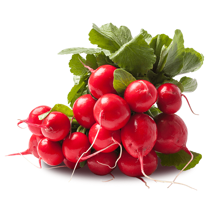 ZIELENIAK Rzodkiewka - pęczek