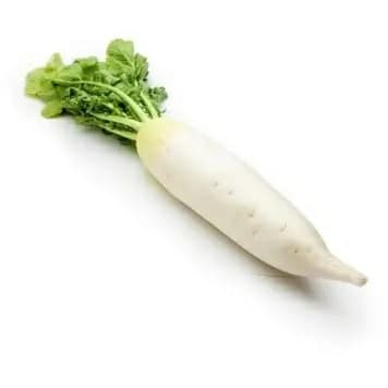 ZIELENIAK Rzodkiew biała 1-2 szt. 700 g