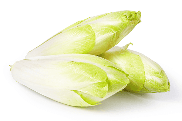 ZIELENIAK Cykoria biała 500g