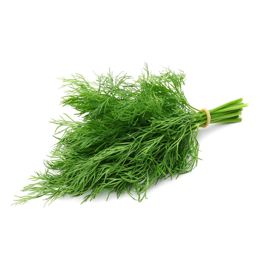 ZIELENIAK Koperek pęczek 25 g