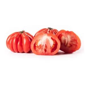 ZIELENIAK Pomidor Bawole serce 600g
