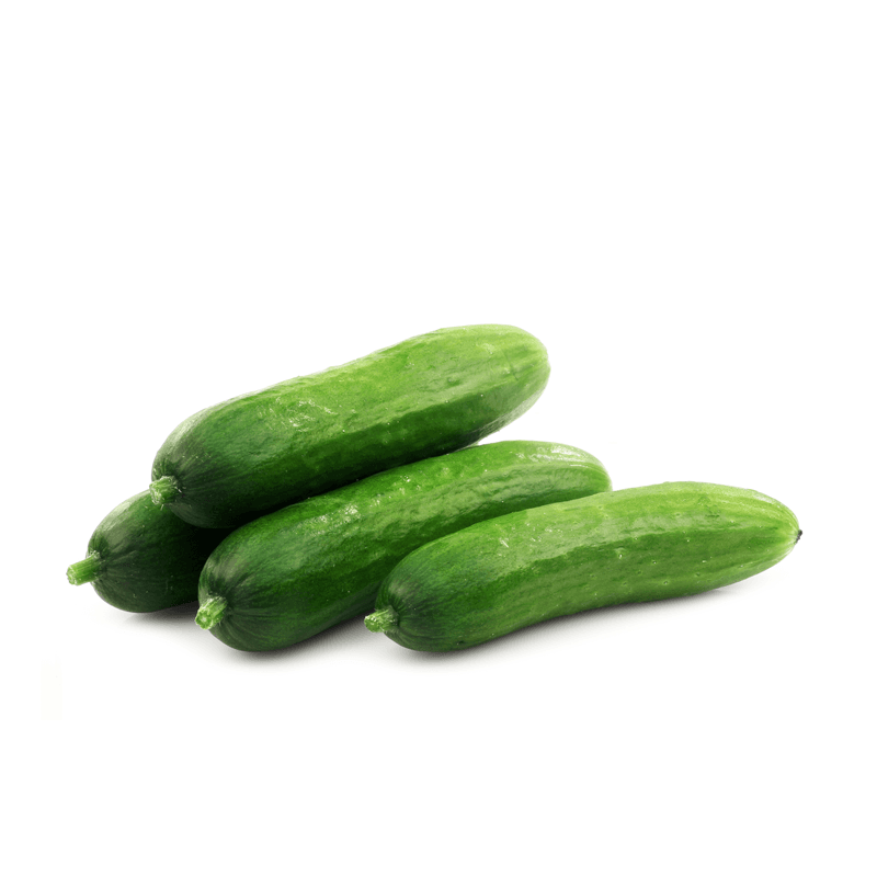 ZIELENIAK Ogórki krótkie 600g