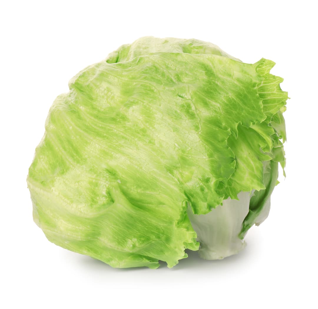 ZIELENIAK Sałata lodowa 1 szt. 300 g