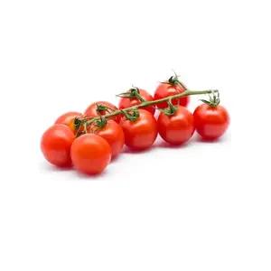 ZIELENIAK Pomidory Cherry gałązka 500g