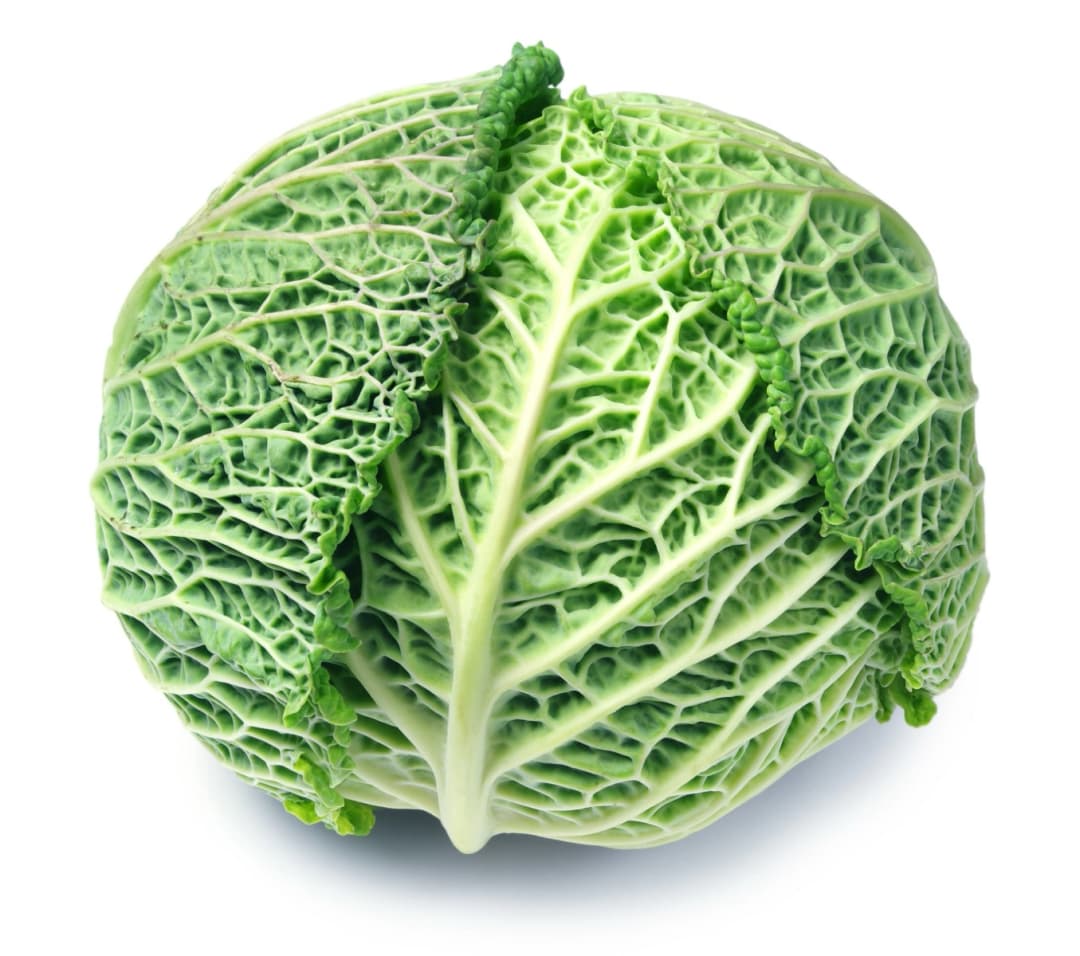 ZIELENIAK Kapusta włoska 1 szt. 2000 g