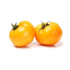 ZIELENIAK Pomidory żółte 500g