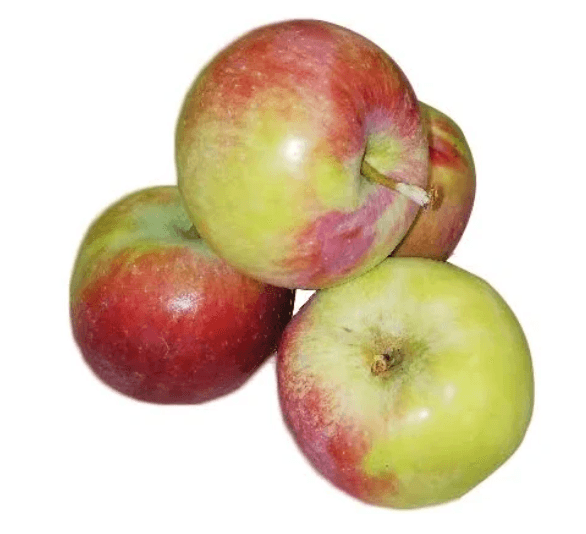 ZIELENIAK Jabłka młode Paulared 4-5 szt. 700 g