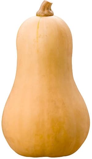 ZIELENIAK Dynia Piżmowa 1 szt. 1500 g