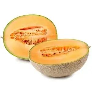 ZIELENIAK Melon Cantaloupe 1 szt.
