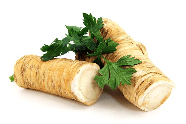 ZIELENIAK Chrzan korzeń 1-2 szt. 300 g