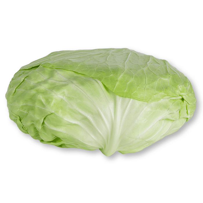 ZIELENIAK Kapusta Coolwrap na gołąbki 1 szt.