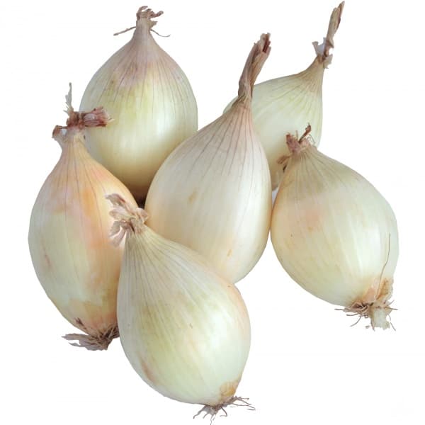 ZIELENIAK Cebula cukrowa 4-6 szt. 480g