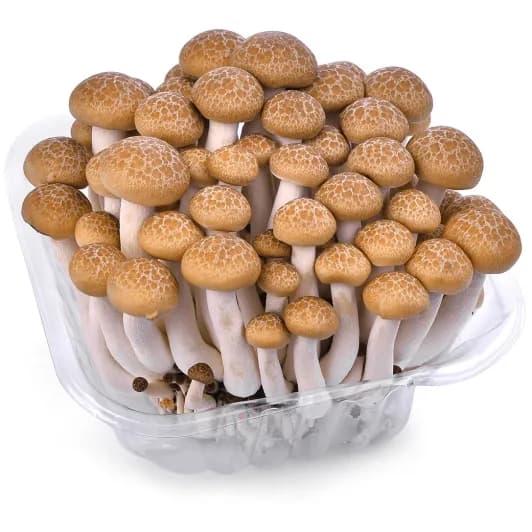 ZIELENIAK Grzyby Shimej 150g