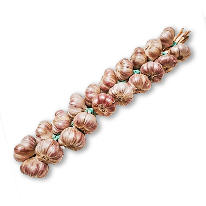 ZIELENIAK Czosnek warkocz 800 g