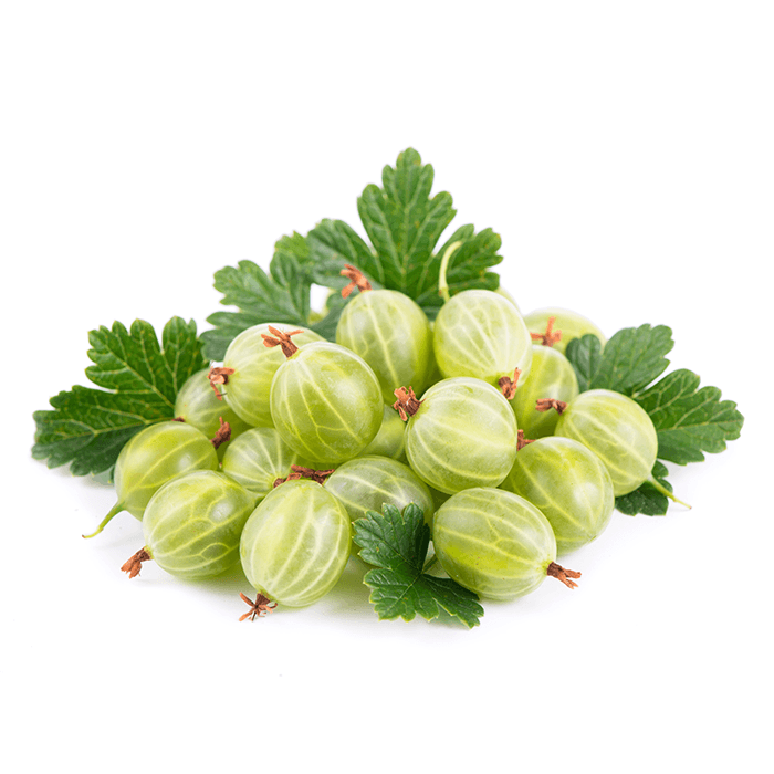 ZIELENIAK Agrest 500 g