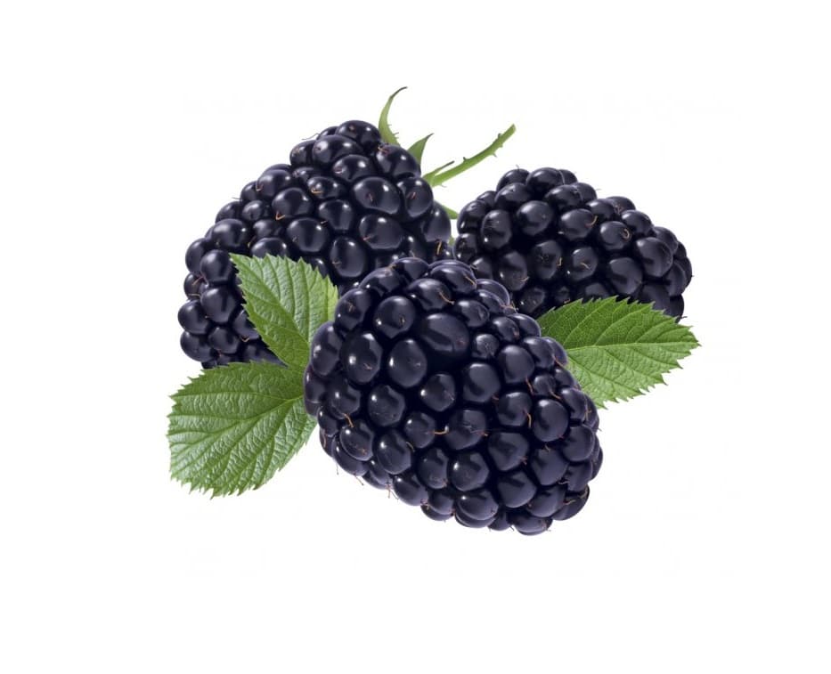 ZIELENIAK Jeżyna 250 g