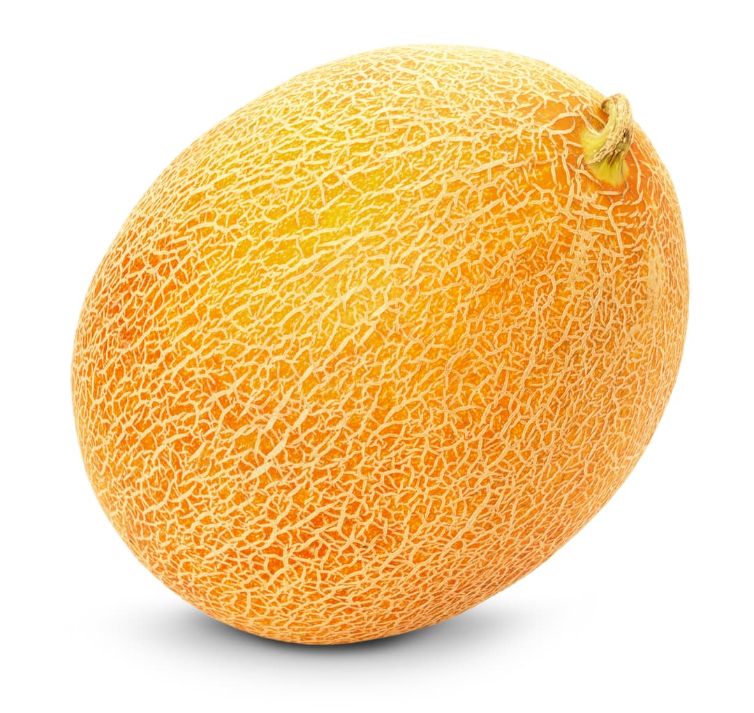 ZIELENIAK Melon Galia 1 szt. 800 g