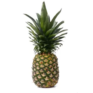 ZIELENIAK Ananas drobny 1 szt. 800 g ZIELENIAK Ananas drobny 1 szt. 800 g