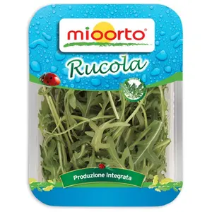 MIOORTO Rukola 100 g MIOORTO Rukola 100 g