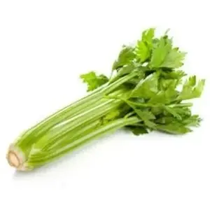 ZIELENIAK Seler naciowy 1 szt. 300 g ZIELENIAK Seler naciowy 1 szt. 300 g