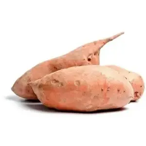ZIELENIAK Ziemniak słodki Batat 3-4 szt. 1000 g ZIELENIAK Ziemniak słodki Batat 3-4 szt. 1000 g