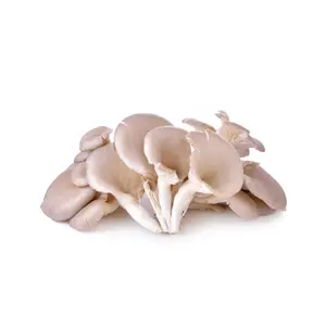 ZIELENIAK Boczniaki 250g ZIELENIAK Boczniaki 250g