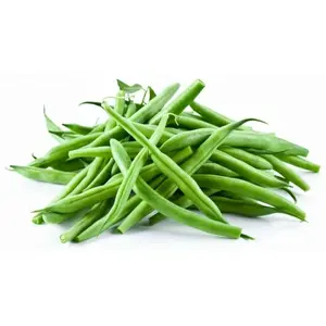 ZIELENIAK Fasolka szparagowa zielona 500g ZIELENIAK Fasolka szparagowa zielona 500g