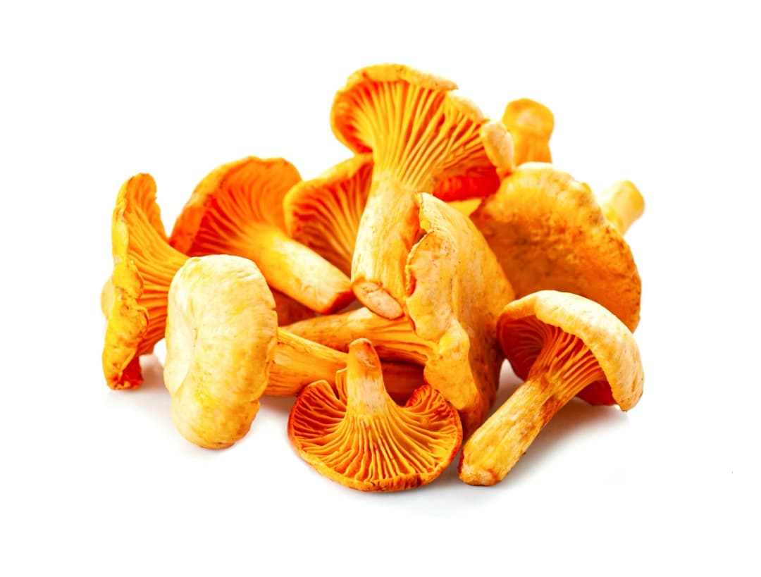 ZIELENIAK Kurki świeże 250g