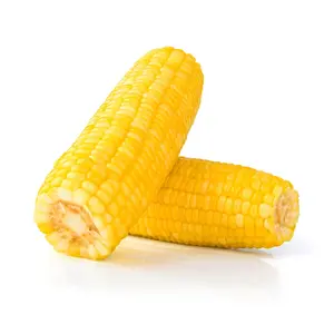 ZIELENIAK Kukurydza gotowana 2 szt. 450 g ZIELENIAK Kukurydza gotowana 2 szt. 450 g