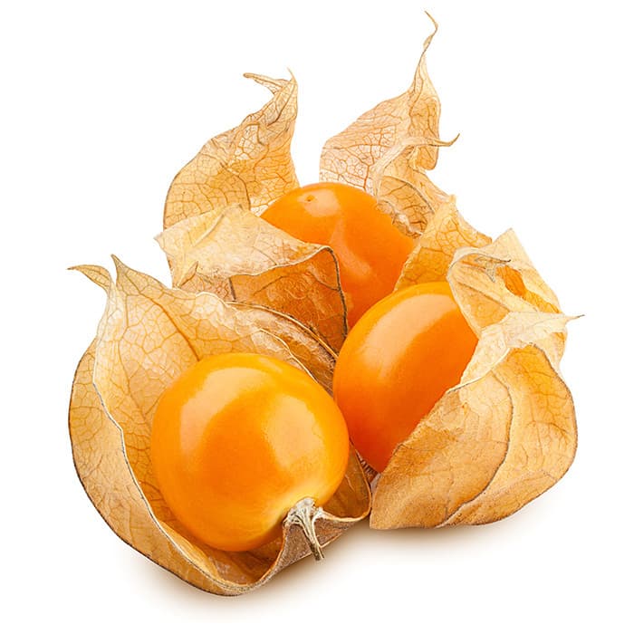 ZIELENIAK Physalis (Miechunka) 100 g