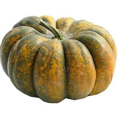ZIELENIAK Dynia Muscat 1 szt. 5000 g