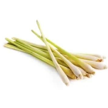 ZIELENIAK Trawa cytrynowa pęczek 150 g