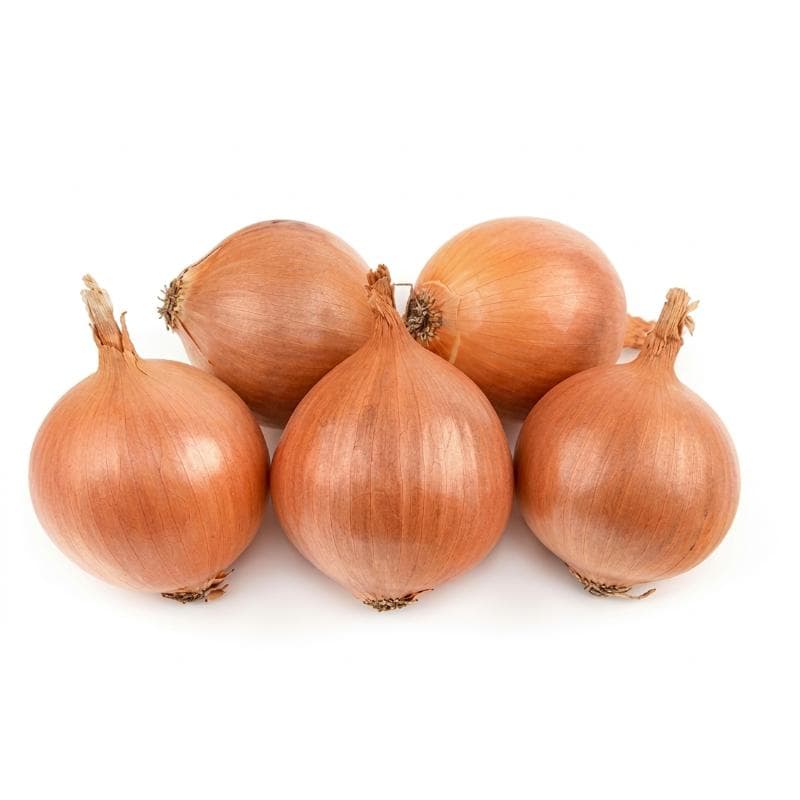ZIELENIAK Cebula 1000 g