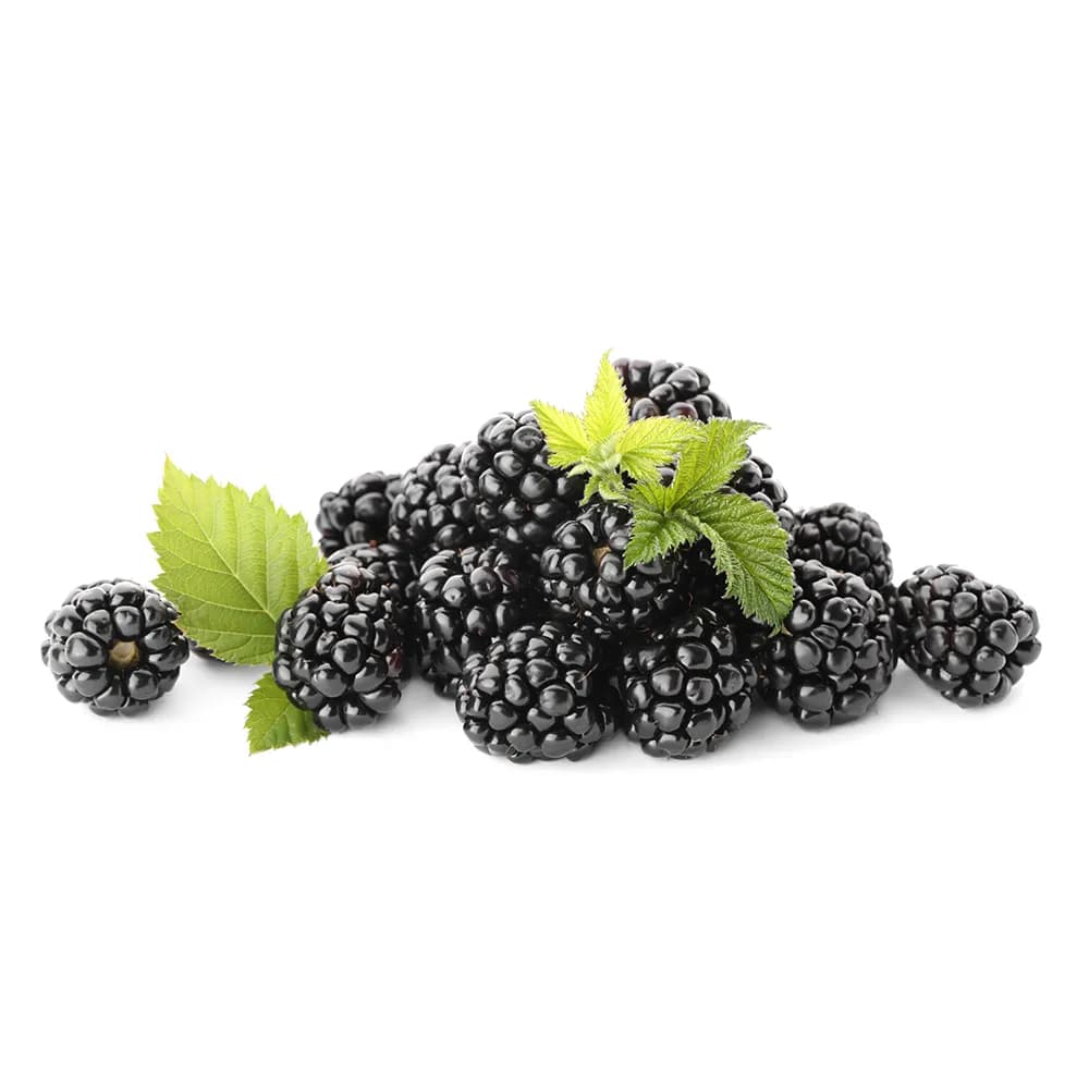 ZIELENIAK Jeżyna 250 g
