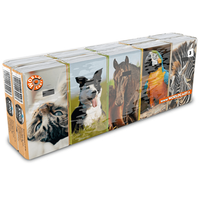 KING OF ANIMALS Chusteczki higieniczne 10x9 szt.