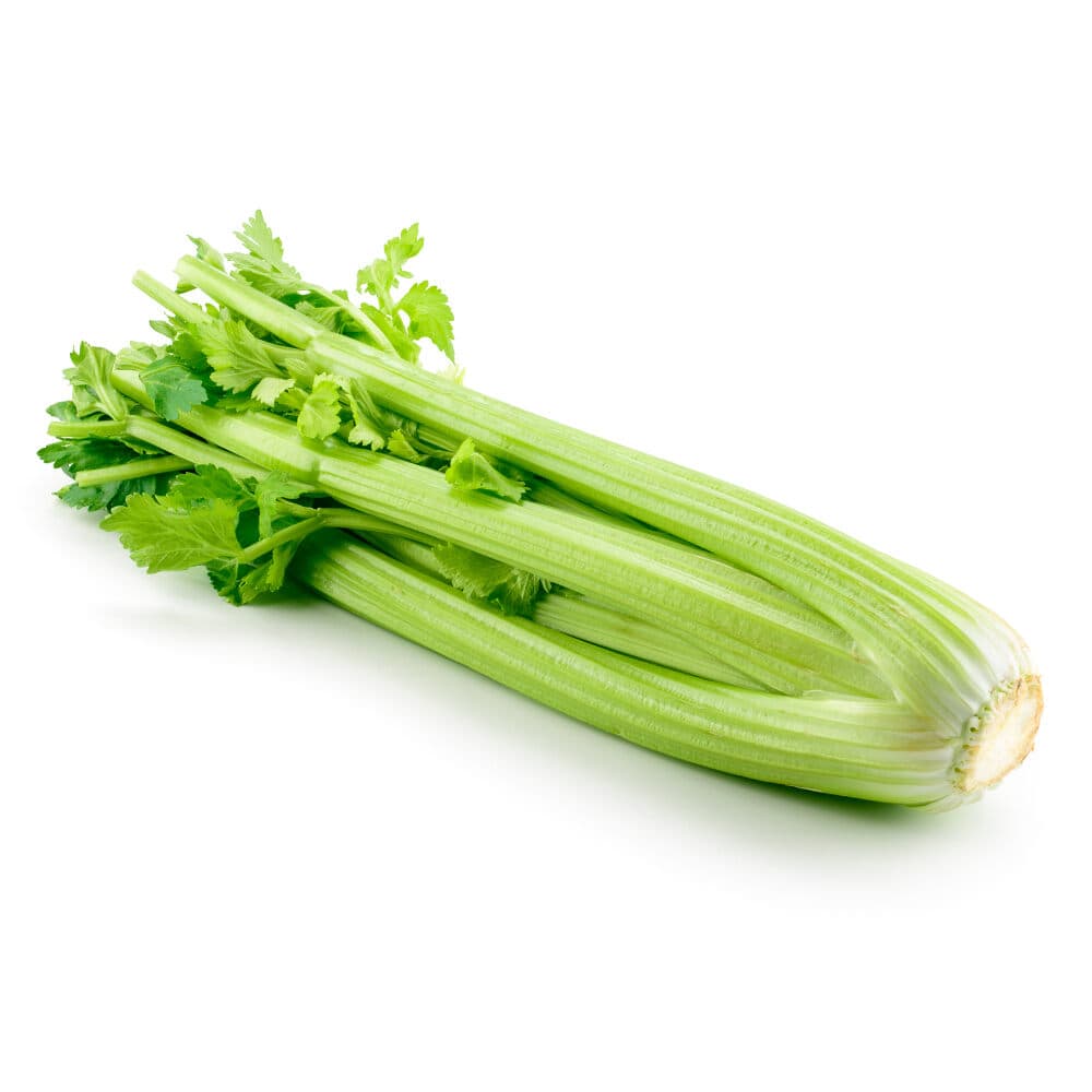 ZIELENIAK Seler naciowy BIO ok. 300 g