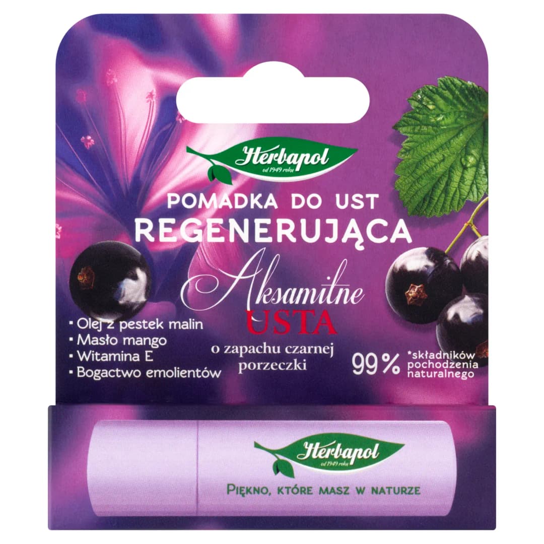HERBAPOL Pomadka do ust regenerująca o zapachu czarnej porzeczki 1 szt.