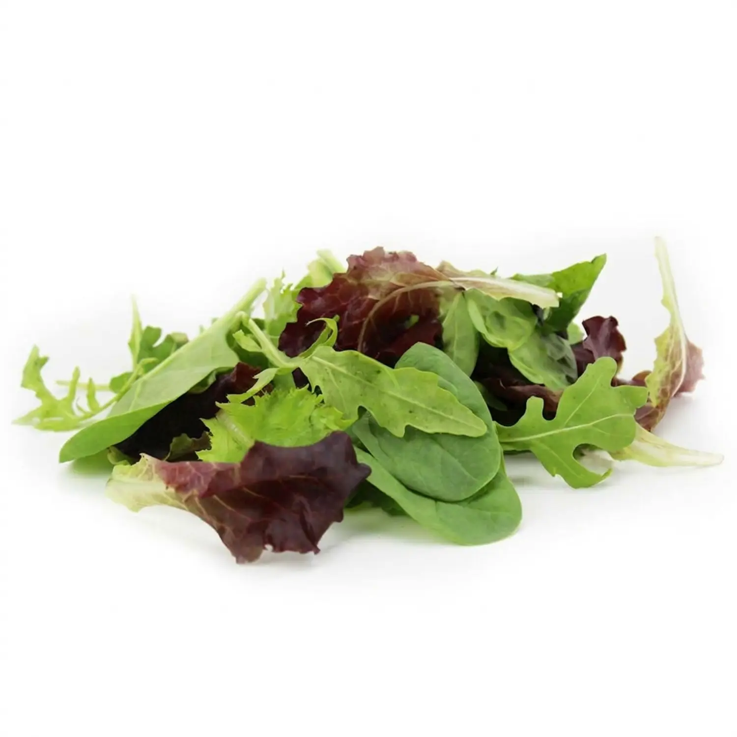 ZIELENIAK Mix sałat świeży niemyty BIO 100 g