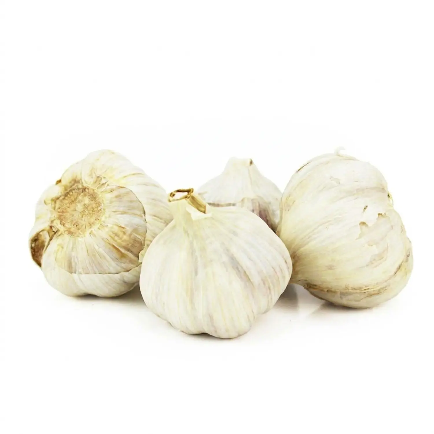 ZIELENIAK Czosnek świeży BIO 100 g