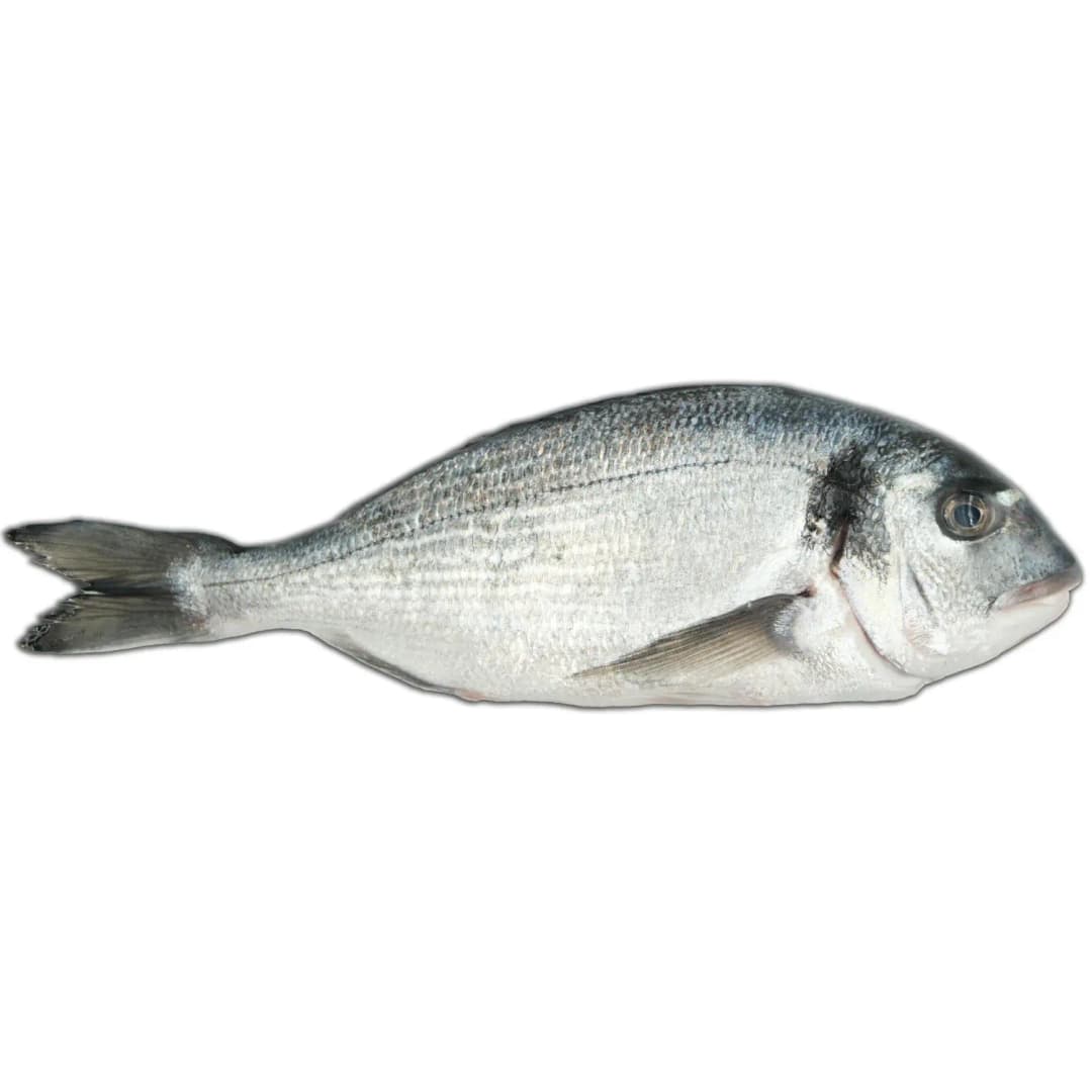 FISK Dorada patroszona EKO 500 g