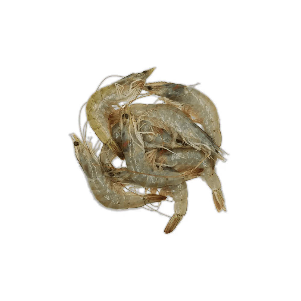 FISK Krewetka biała dzika w całości 250 g