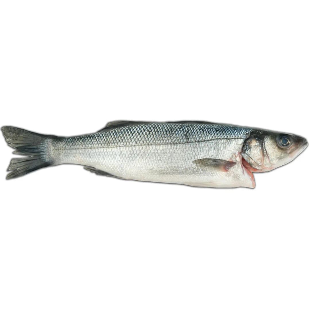 FISK Okoń morski patroszony EKO 350 g