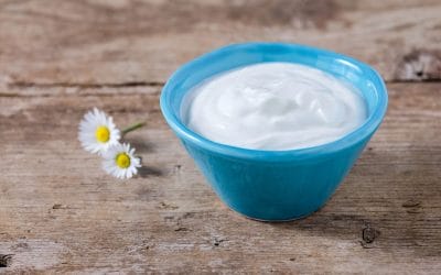 Jogurt skyr – właściwości, zastosowanie i propozycje podania