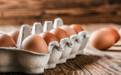 Co można jeść zamiast jajek?