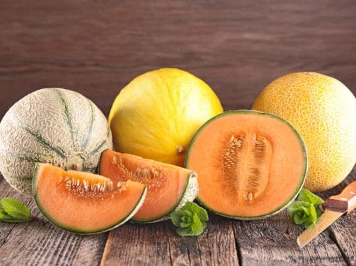 Jak smakuje melon Jakie ma właściwości i z czym go jeść