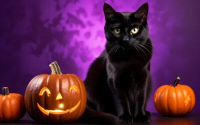 17 ciekawostek o Halloween