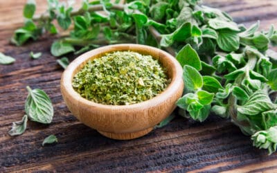 Oregano i jego zdrowotne właściwości