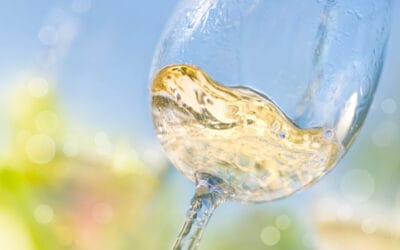 Do jakich dań pić białe austrackie wino Gruner Veltliner? – Food pairing